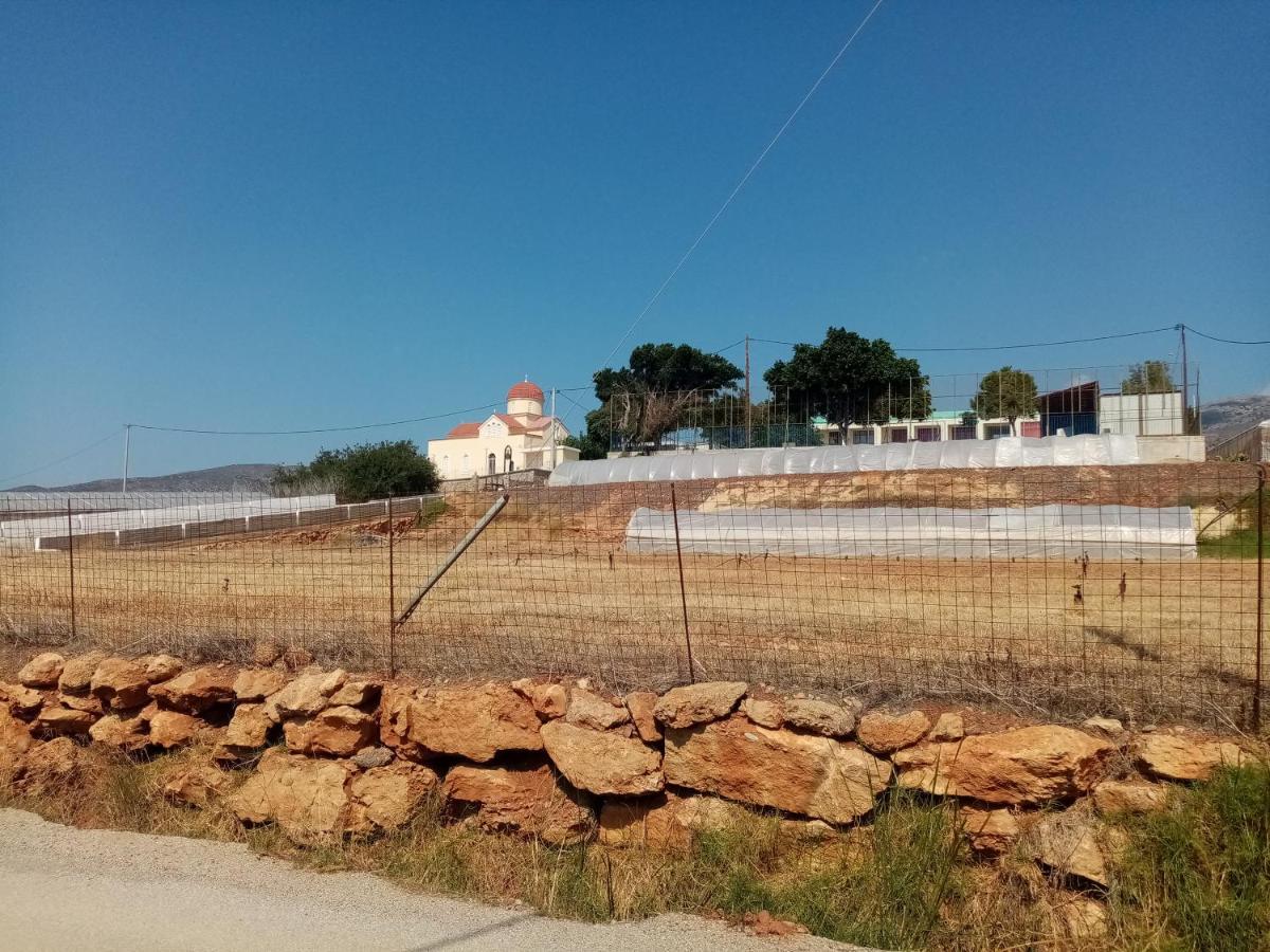 Vine Veranda Palaiochora Exterior foto